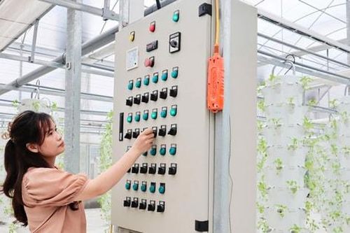 Giáo sư, Tiến sĩ khoa học, Viện sĩ Trần Đình Long: 'Sản xuất an toàn chính là chìa khóa nâng tầm sản phẩm nông nghiệp'