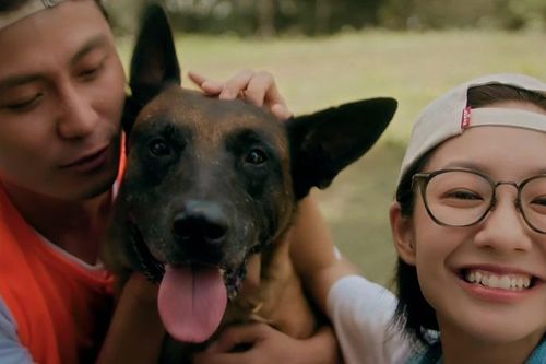 Có gì đặc biệt trong dòng phim mini series lần đầu ra mắt trên sóng VTV?