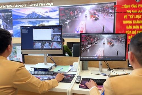 Chính phủ ban hành Kế hoạch triển khai thi hành Luật sửa đổi 10 luật liên quan an ninh, trật tự