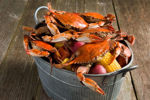 Bốn bộ phận của cua rất bẩn, ngon mấy cũng nên tránh ăn