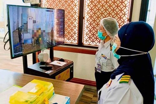 Đã phát hiện virus Nipah trên dơi tại Thái Lan