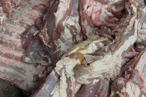 Thiếu đạo đức khi để thịt heo không tươi vào trường học ở TP.HCM