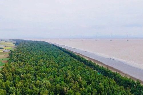 Chủ tịch Ủy ban nhân dân tỉnh Vĩnh Long chỉ đạo xử lý phản ánh đăng trên Báo Nhân Dân 'Nhếch nhác khu du lịch biển Ba Động'