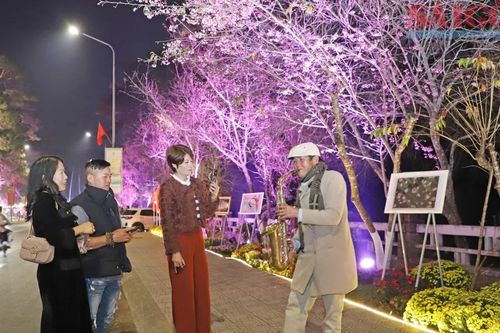 Đường nghệ thuật hoa Mai anh đào Đà Lạt mở cửa phục vụ du khách