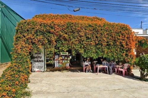 Cận cảnh căn nhà phủ đầy hoa đang 'nổi như cồn' ở Lâm Đồng