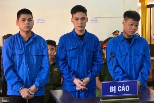 Ba bị cáo lĩnh án hơn 40 năm tù về tội danh giết người, che giấu tội phạm