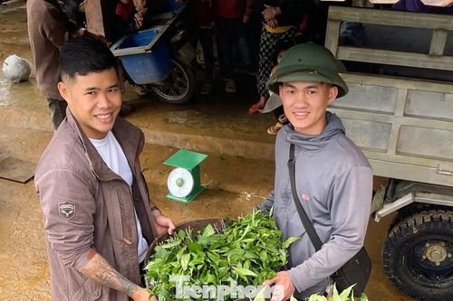 Nhóm bạn vượt núi chở nông sản vùng cao về phố, khách liên tục 'chốt đơn'