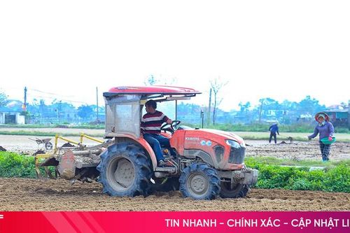 Hối hả khép kín diện tích cây trồng chủ lực vụ xuân