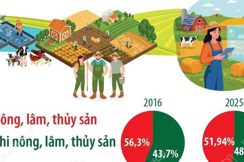 Cơ cấu lao động nông thôn ngày càng tiệm cận khu vực phi nông nghiệp