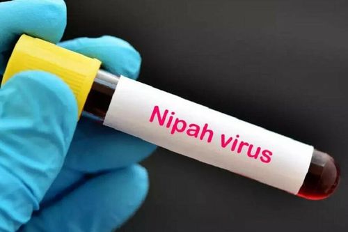 Thái Lan cảnh báo trẻ nhỏ là nhóm dễ bị tổn thương nhất do virus Nipah