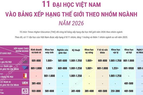 11 đại học Việt Nam vào bảng xếp hạng thế giới theo nhóm ngành