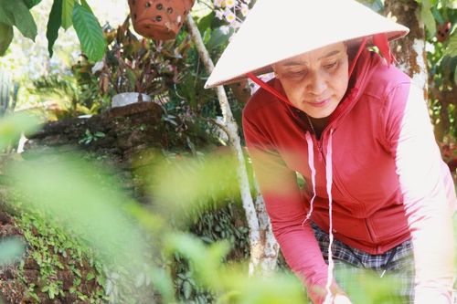 'Dân vận khéo' ở Thạnh Bình: Khi phụ nữ gìn giữ nếp nhà, mở lối sinh kế