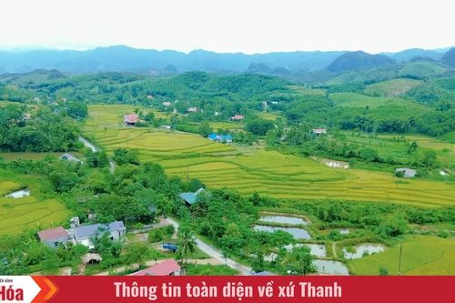 Khát vọng xanh trên đồi Pú Pỏm