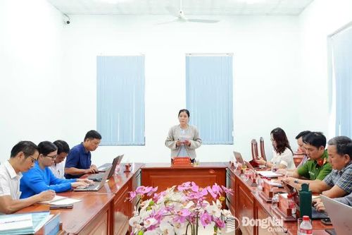 Khắp nơi trong tỉnh chiều 27-1-2026