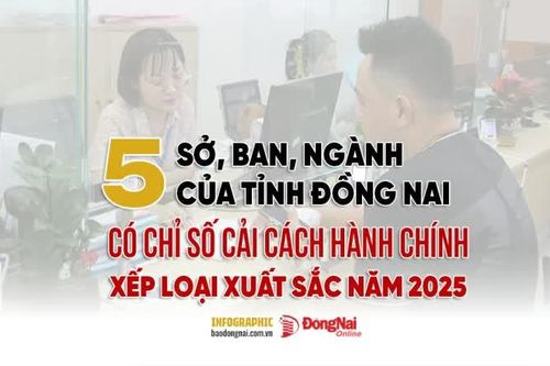 [Infographic] 5 sở, ban, ngành nào của Đồng Nai có Chỉ số cải cách hành chính xếp loại xuất sắc năm 2025?
