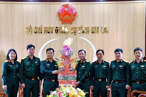 Binh đoàn 15 thăm, chúc Tết Bộ Chỉ huy Quân sự tỉnh Gia Lai