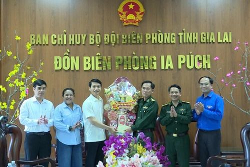 Phó Bí thư Tỉnh ủy Nguyễn Ngọc Lương thăm, chúc Tết 2 Đồn Biên phòng Ia Pnôn và Ia Púch