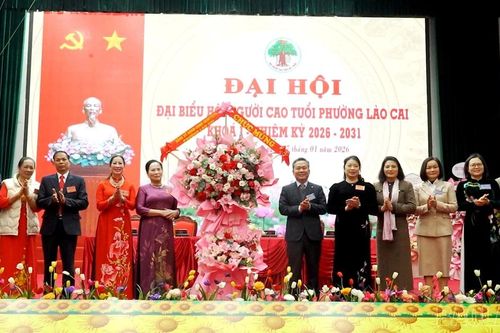Hội Người cao tuổi phường Lào Cai đoàn kết, trách nhiệm, hướng tới phát triển bền vững