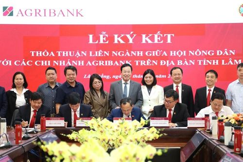 Tạo điều kiện cho phụ nữ, nông dân Lâm Đồng vay phát triển nông nghiệp