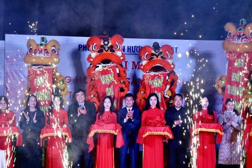 Khai mạc Đường hoa ánh sáng, nghệ thuật 'Sáng tạo cùng hoa Mai Anh Đào Đà Lạt'