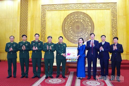 Bộ Tư lệnh Quân khu 3 chúc Tết Tỉnh ủy, UBND tỉnh Ninh Bình