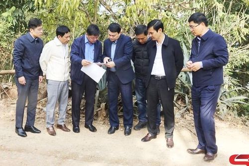 Tạo sinh kế bền vững, thúc đẩy xây dựng nông thôn mới
