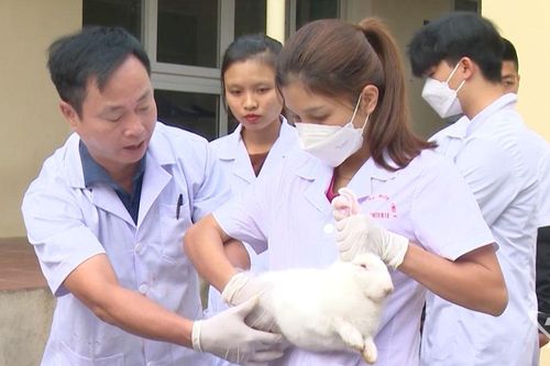 Mở lối việc làm cho thanh niên nông thôn