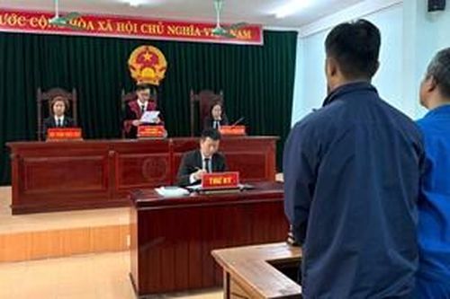 Hai bị cáo lĩnh án vì môi giới ghép thận trái phép