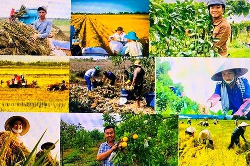 Mục tiêu tăng trưởng GDP toàn ngành nông nghiệp và môi trường năm 2026 đạt 3,7%