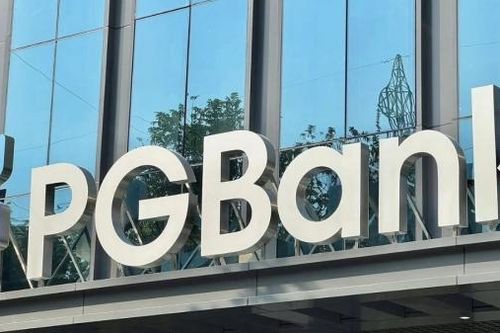 Cổ đông hiện hữu mua chưa đầy 1%, PGBank phân phối 127 triệu cổ phiếu cho 11 nhà đầu tư
