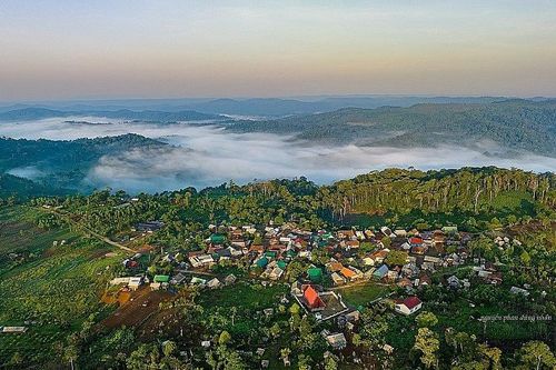 Gia Lai xúc tiến phê duyệt dự án ODA 17,193 triệu Euro về phục hồi, phát triển rừng bền vững