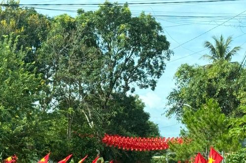 Giảm nghèo bền vững ở Tây Nguyên - Kỳ vọng từ nhiệm kỳ Đại hội XIV