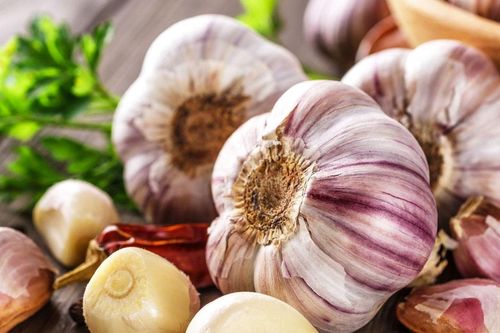 Ăn tỏi sống mang lại lợi ích gì cho sức khỏe?