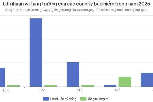 Đầu tư tài chính giúp doanh nghiệp bảo hiểm 'vượt bão', lợi nhuận tăng mạnh