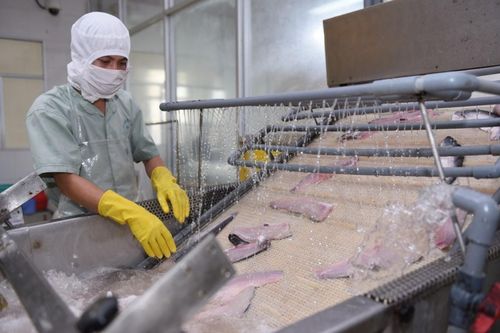 Biên lợi nhuận thu hẹp, PAN tăng trưởng lợi nhuận nhờ giảm chi phí