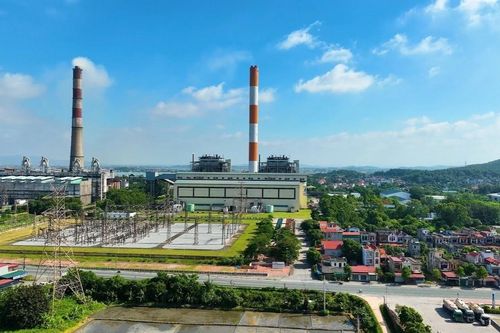 Nhiệt điện Phả Lại: Lợi nhuận quý 4 'bốc hơi' 30% do hụt thu cổ tức