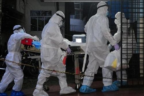 Virus Nipah quay lại Ấn Độ, nhiều nước tăng cường kiểm tra y tế