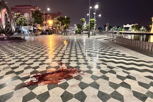 Vận động 2 nghi can vụ giết người ở công viên ra đầu thú