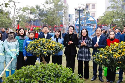 Xã Vân Đình xây dựng mô hình 'Vân Đình nở hoa'