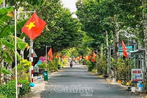 Đường cờ Tổ quốc - Điểm nhấn đẹp ở xã Vĩnh Phước