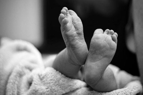 Xác minh vụ thi thể trẻ sơ sinh trong sọt rác tại khu công nghiệp Vĩnh Long