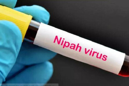 Virus Nipah lây qua đường nào?