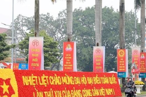 Tinh thần Đại hội XIV lan tỏa từ cơ sở