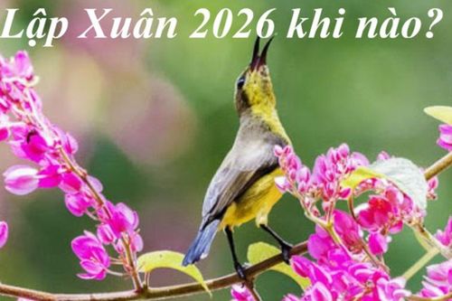 Lập Xuân 2026 – ngày khởi đầu của năm mới: Chuyên gia khuyên bí quyết đón năm mới tài lộc, hanh thông