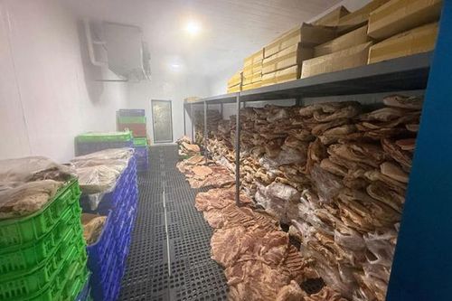 Thực phẩm bẩn, độc hại vẫn len lỏi vào mâm cơm gia đình