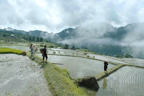 Phim truyền hình không ngừng làm mới