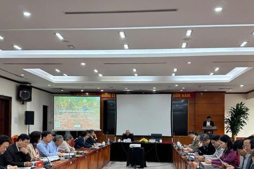 Tái cấu trúc chuỗi cung ứng ngành sắn theo hướng minh bạch