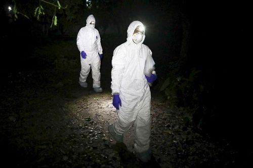 Khác biệt giữa lây nhiễm virus Nipah và Covid-19