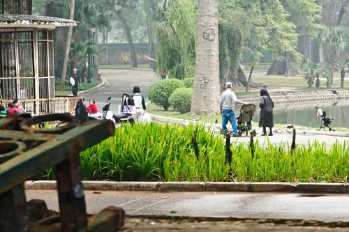 Hà Nội: hạ rào đưa 'lá phổi xanh' xích lại gần hơn với đời sống người dân