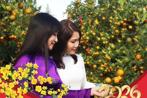 Làng quật cảnh Cẩm Hà rộn ràng vào hội Tết